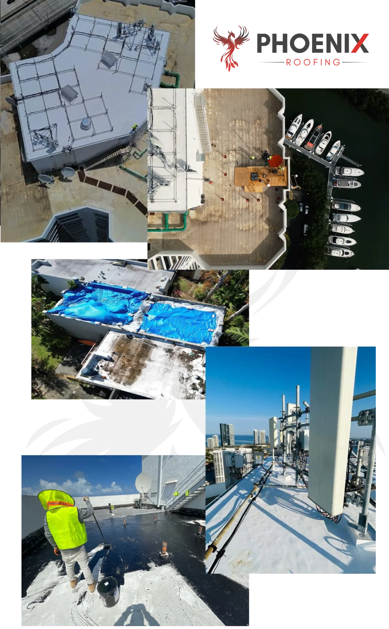 Image Frame1
