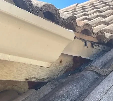 roof flashing leak